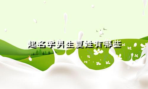 起名字男生夏姓有哪些