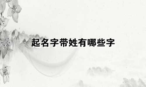 起名字带姓有哪些字