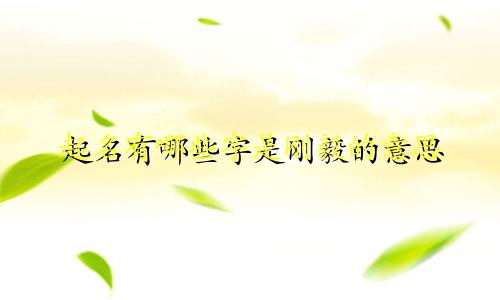 起名有哪些字是刚毅的意思