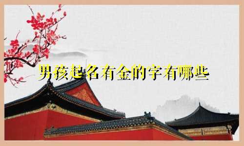 男孩起名有金的字有哪些