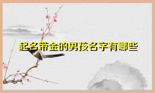 起名带金的男孩名字有哪些