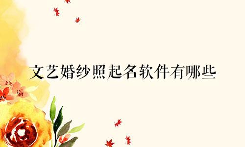 文艺婚纱照起名软件有哪些