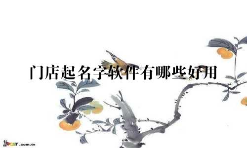 门店起名字软件有哪些好用