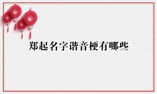 郑起名字谐音梗有哪些