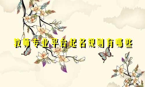 教师专业平台起名规则有哪些