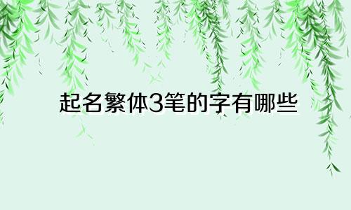 起名繁体3笔的字有哪些
