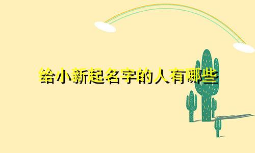 给小新起名字的人有哪些