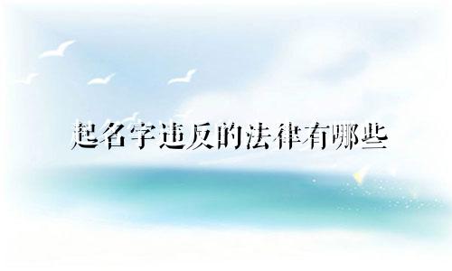 起名字违反的法律有哪些