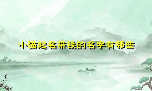 小猫起名带铁的名字有哪些