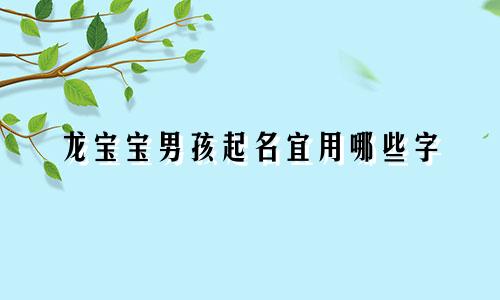 龙宝宝男孩起名宜用哪些字