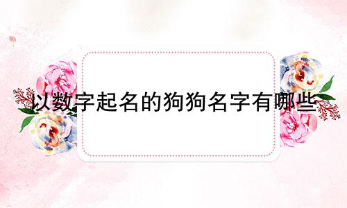 以数字起名的狗狗名字有哪些