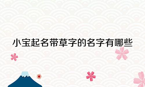 小宝起名带草字的名字有哪些