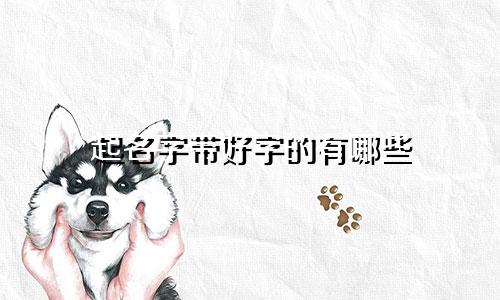 起名字带好字的有哪些