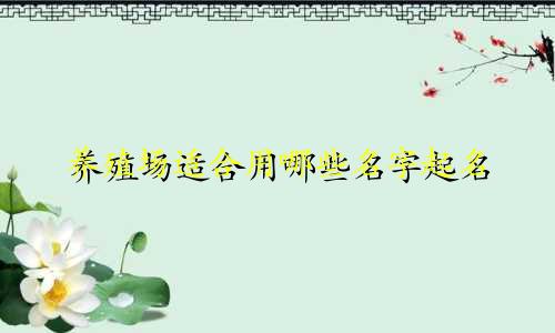 养殖场适合用哪些名字起名