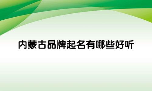内蒙古品牌起名有哪些好听