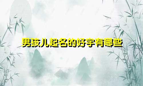 男孩儿起名的好字有哪些