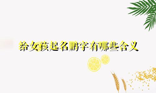 给女孩起名鹏字有哪些含义