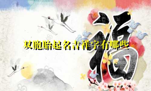 双胞胎起名吉祥字有哪些