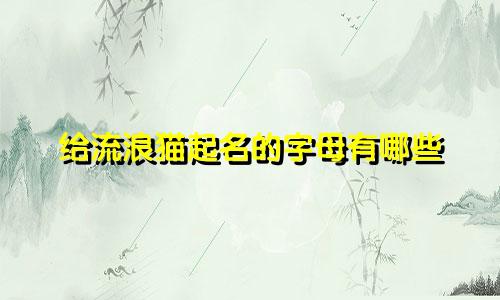 给流浪猫起名的字母有哪些
