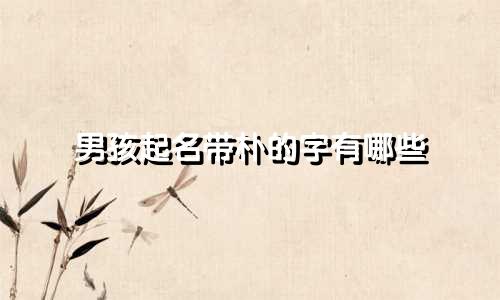 男孩起名带朴的字有哪些