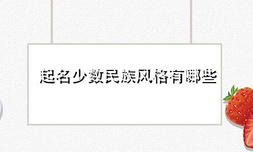 起名少数民族风格有哪些