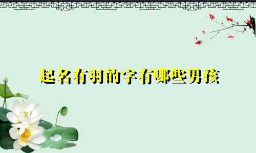 起名有羽的字有哪些男孩