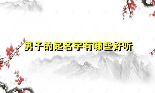 男子的起名字有哪些好听