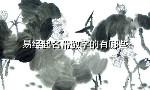 易经起名带数字的有哪些
