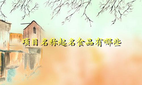 项目名称起名食品有哪些
