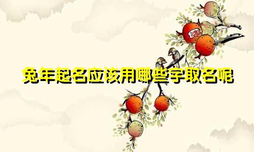 兔年起名应该用哪些字取名呢