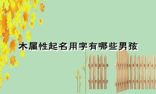 木属性起名用字有哪些男孩