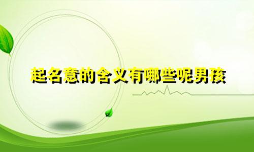 起名意的含义有哪些呢男孩