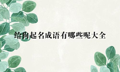 给狗起名成语有哪些呢大全