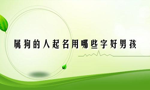 属狗的人起名用哪些字好男孩