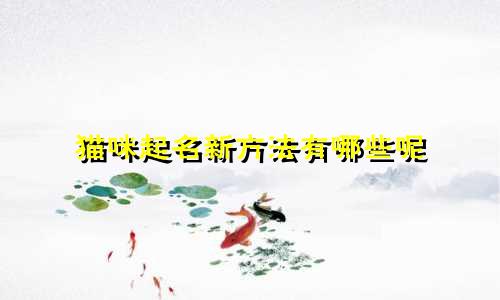 猫咪起名新方法有哪些呢