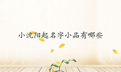 小沈阳起名字小品有哪些