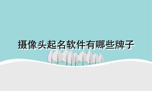 摄像头起名软件有哪些牌子