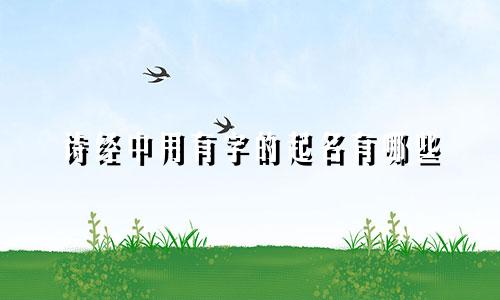 诗经中用有字的起名有哪些