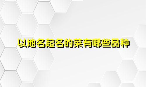以地名起名的菜有哪些品种