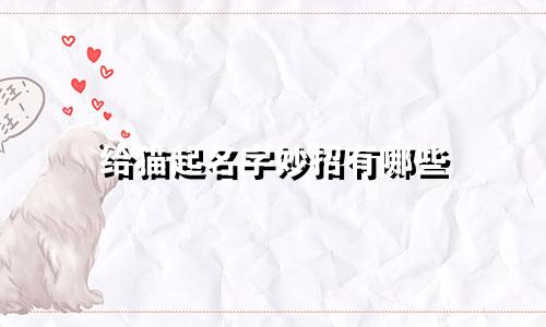 给猫起名字妙招有哪些