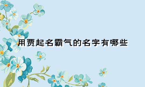 用贾起名霸气的名字有哪些