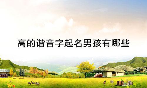 高的谐音字起名男孩有哪些