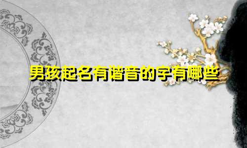 男孩起名有谐音的字有哪些