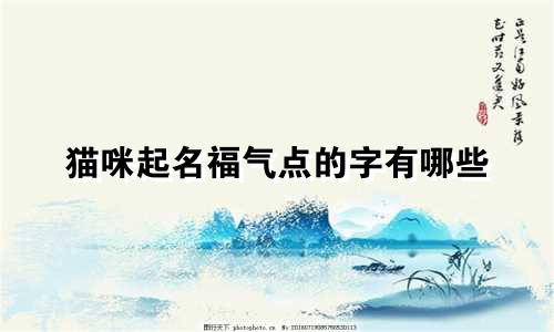 猫咪起名福气点的字有哪些