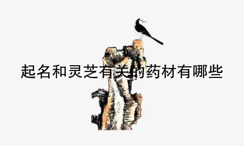起名和灵芝有关的药材有哪些