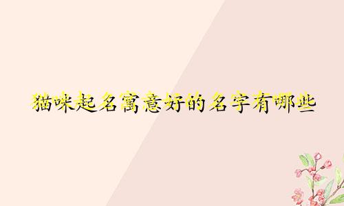 猫咪起名寓意好的名字有哪些