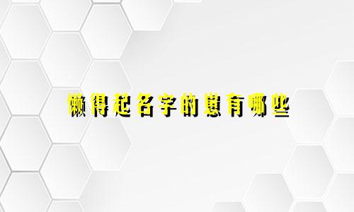 懒得起名字的崽有哪些