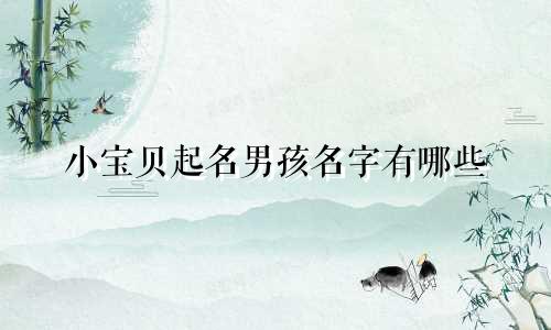 小宝贝起名男孩名字有哪些