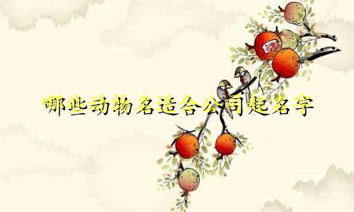 哪些动物名适合公司起名字