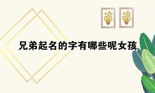 兄弟起名的字有哪些呢女孩